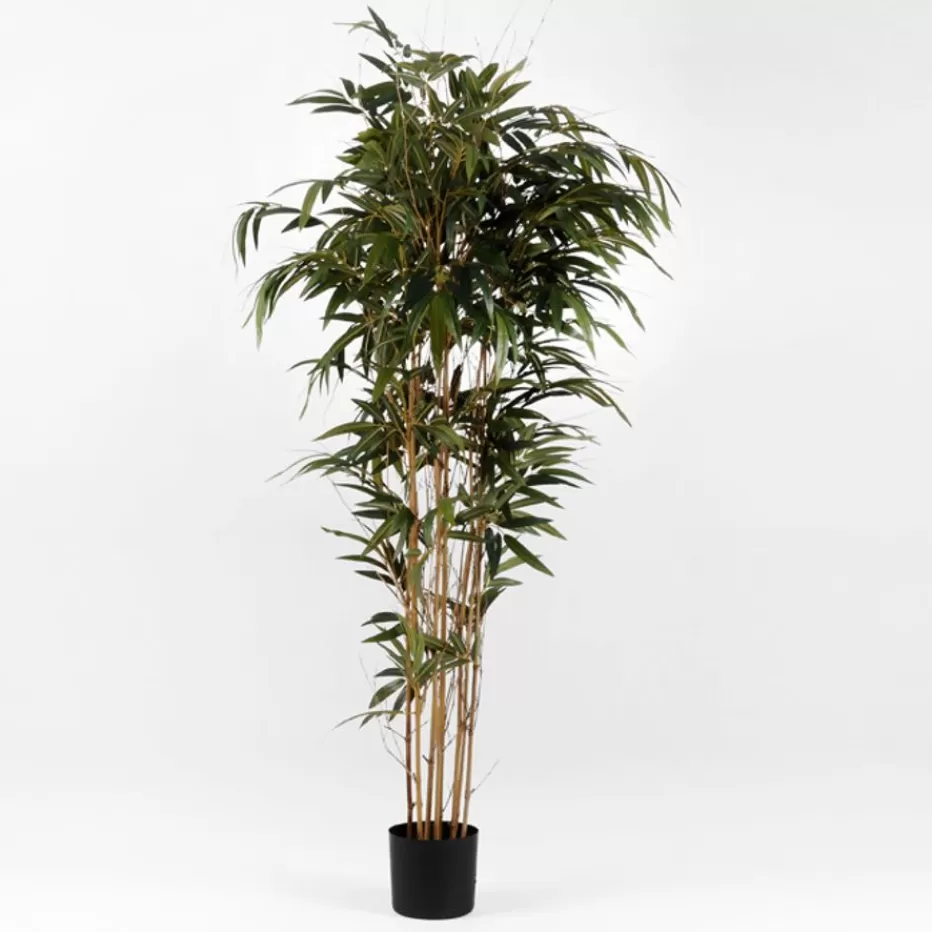 Banak Dary* Plantas Decorativas Artificiales
