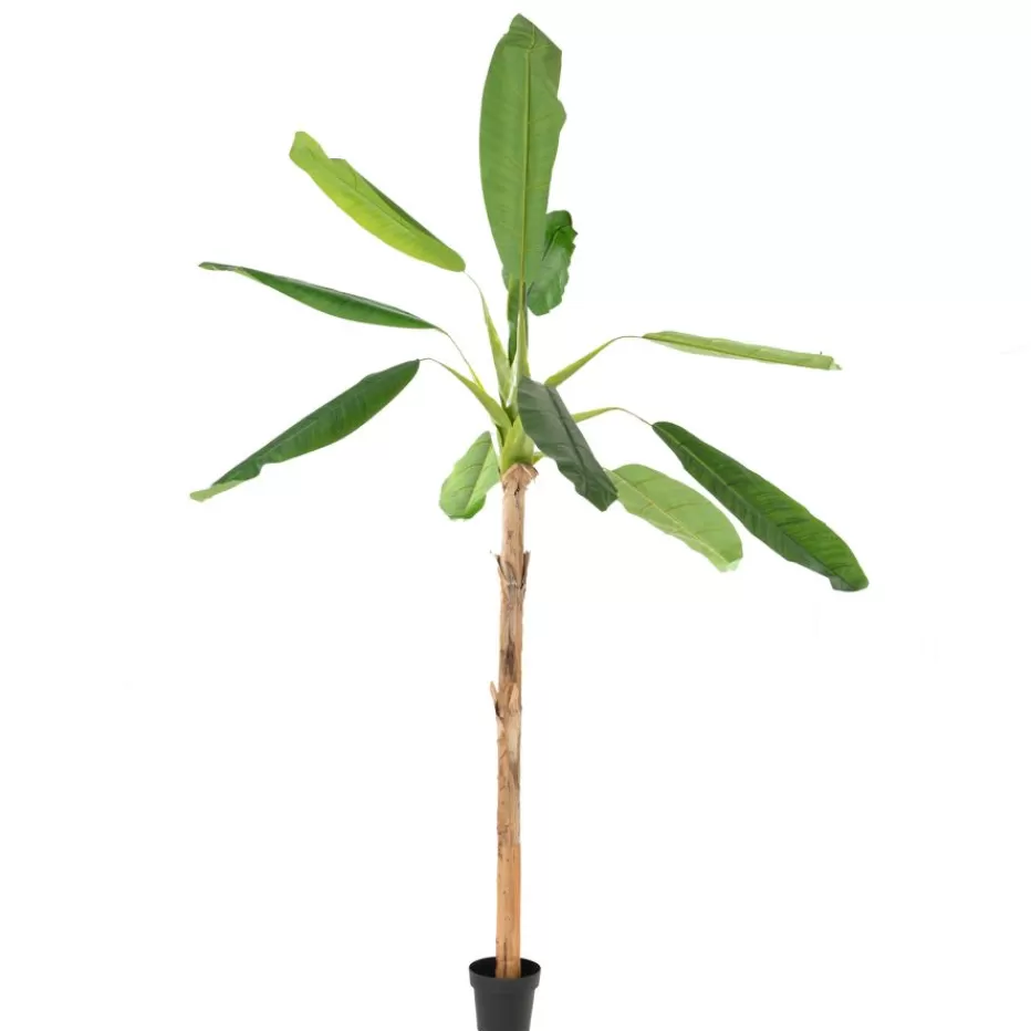 Banak Kanas* Plantas Decorativas Artificiales