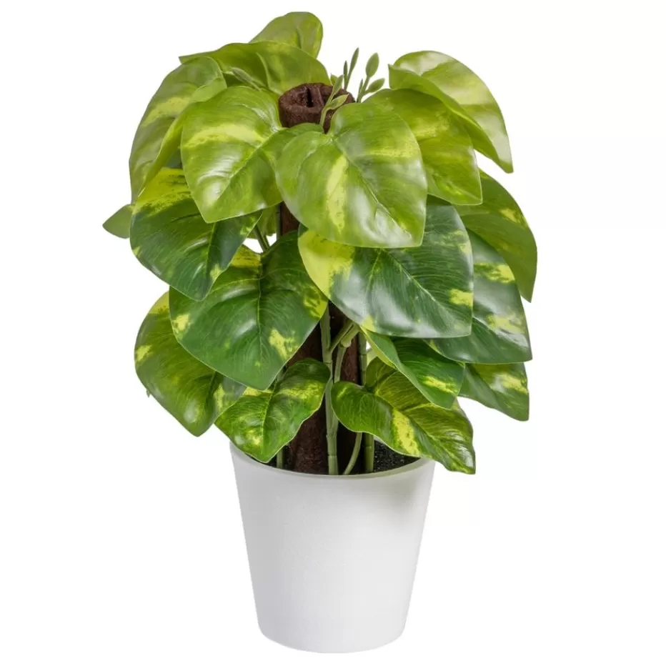 Banak Lanke* Plantas Decorativas Artificiales