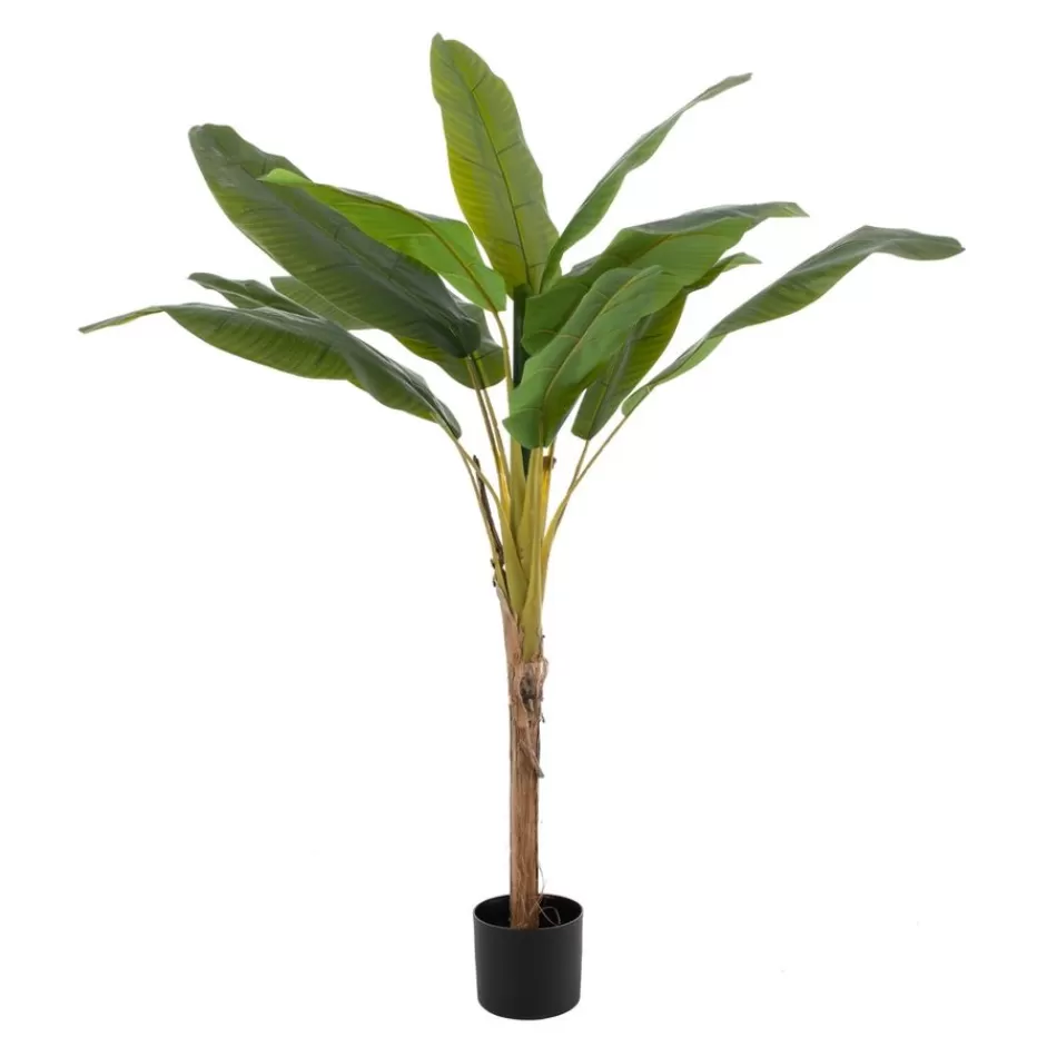 Banak Naxo* Plantas Decorativas Artificiales