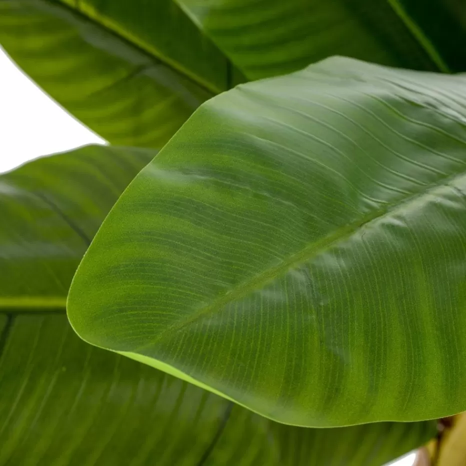 Banak Naxo* Plantas Decorativas Artificiales