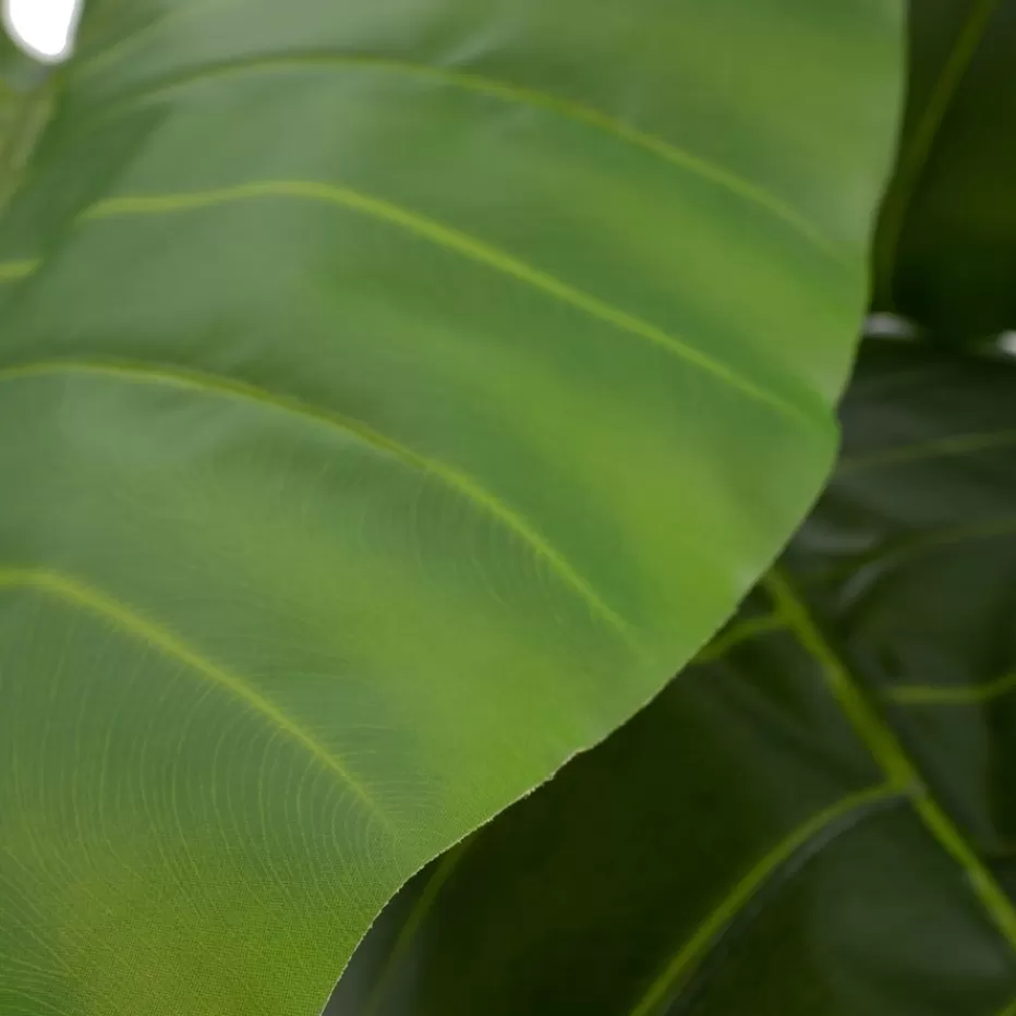 Banak Pana* Plantas Decorativas Artificiales