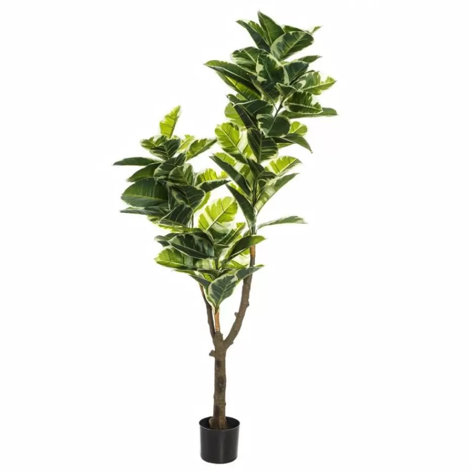 Banak Pell* Plantas Decorativas Artificiales