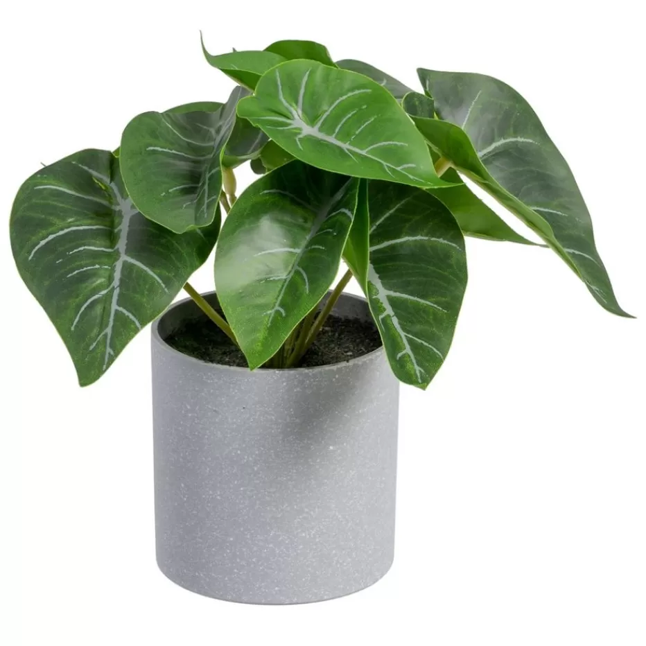Banak Wanka* Plantas Decorativas Artificiales